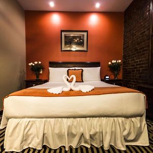 Superior Queen Room